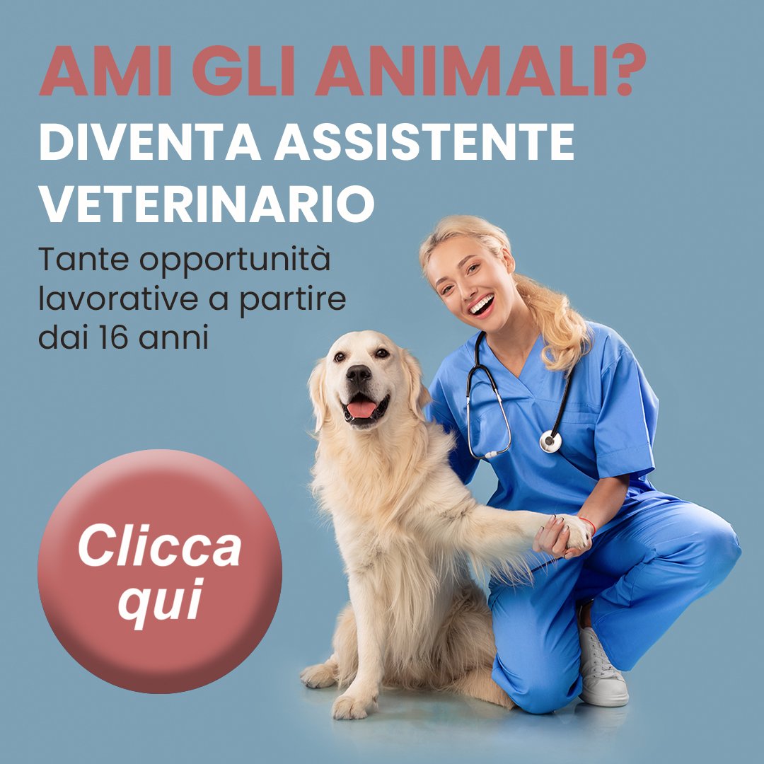 dem-assistente-veterinario-2